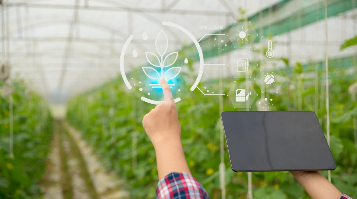 Discover how IoT is revolutionizing indoor farming by optimizing water and energy usage, reducing waste, and improving efficiency. Learn how Greeny Solutions is leading the way in sustainable agritech